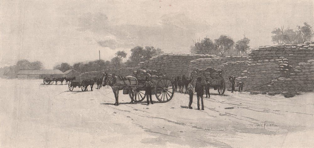 Wheat stacks, NUMURKAH. Victoria, Australia 1888 old antique print picture
